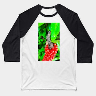 Red peppercorn with bird beak Baseball T-Shirt